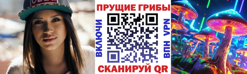 omg сайт  Пугачёв  shop клад  Галлюциногенные грибы мухоморы 